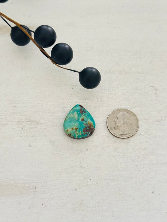 Kingman Turquoise Cab