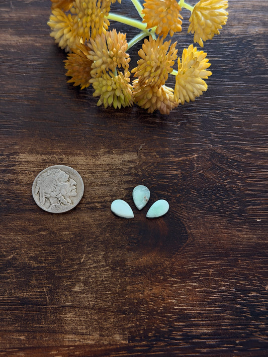 Paloma Variscite Cabs