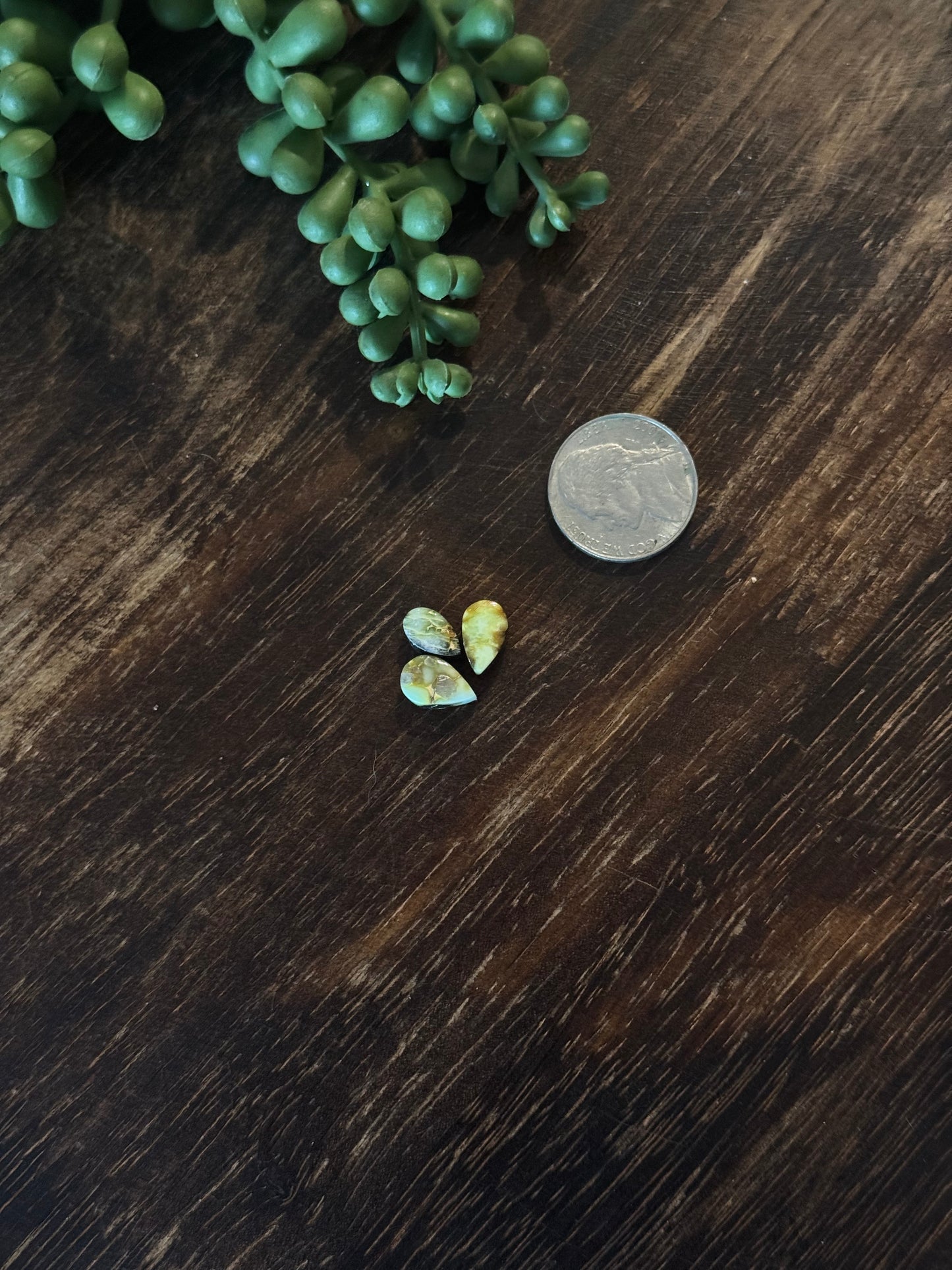 Palomino Variscite Cabs