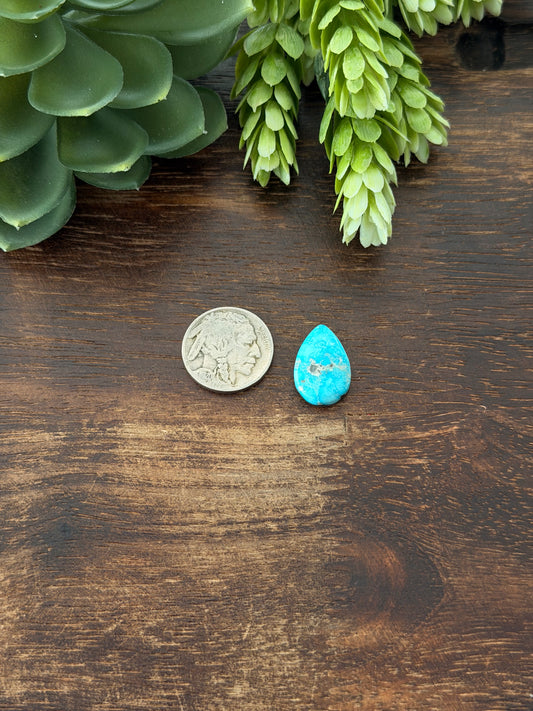 Blue Bird Turquoise Cab
