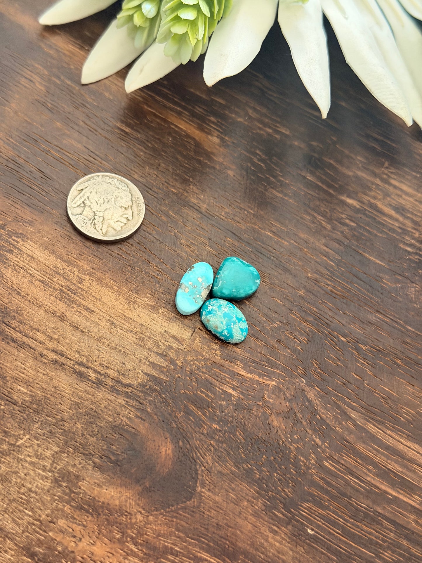 White Water Turquoise Cabs