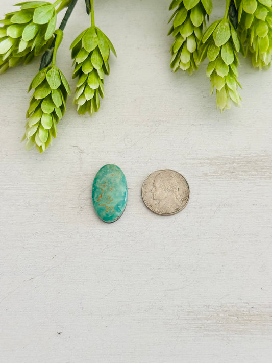 Kingman Turquoise Cab