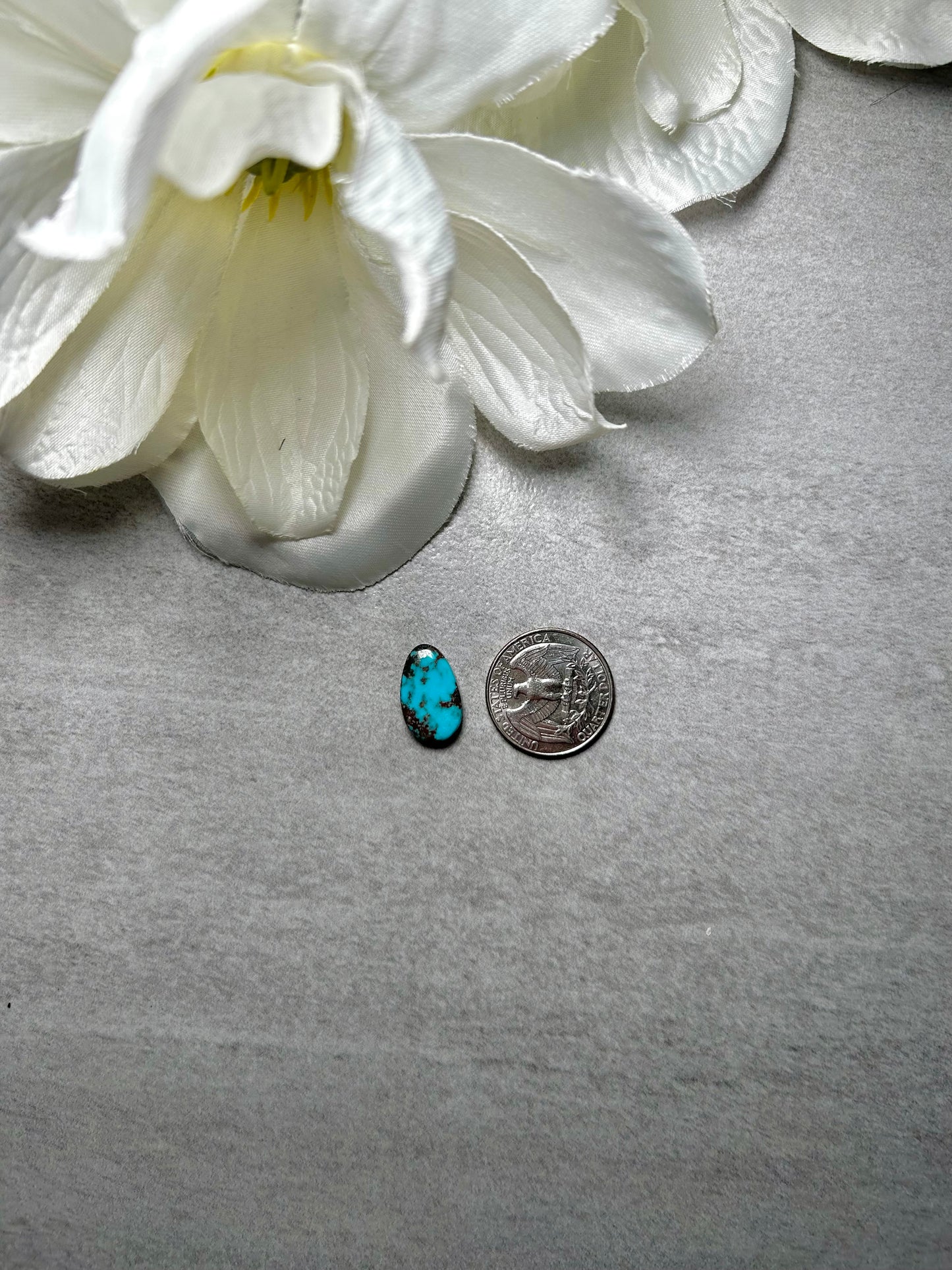 Kingman Turquoise Cab