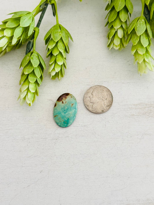 Kingman Turquoise Cab