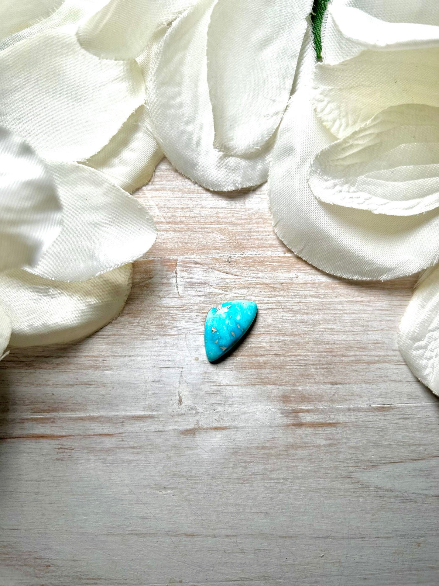 Blue Ridge Turquoise Cab