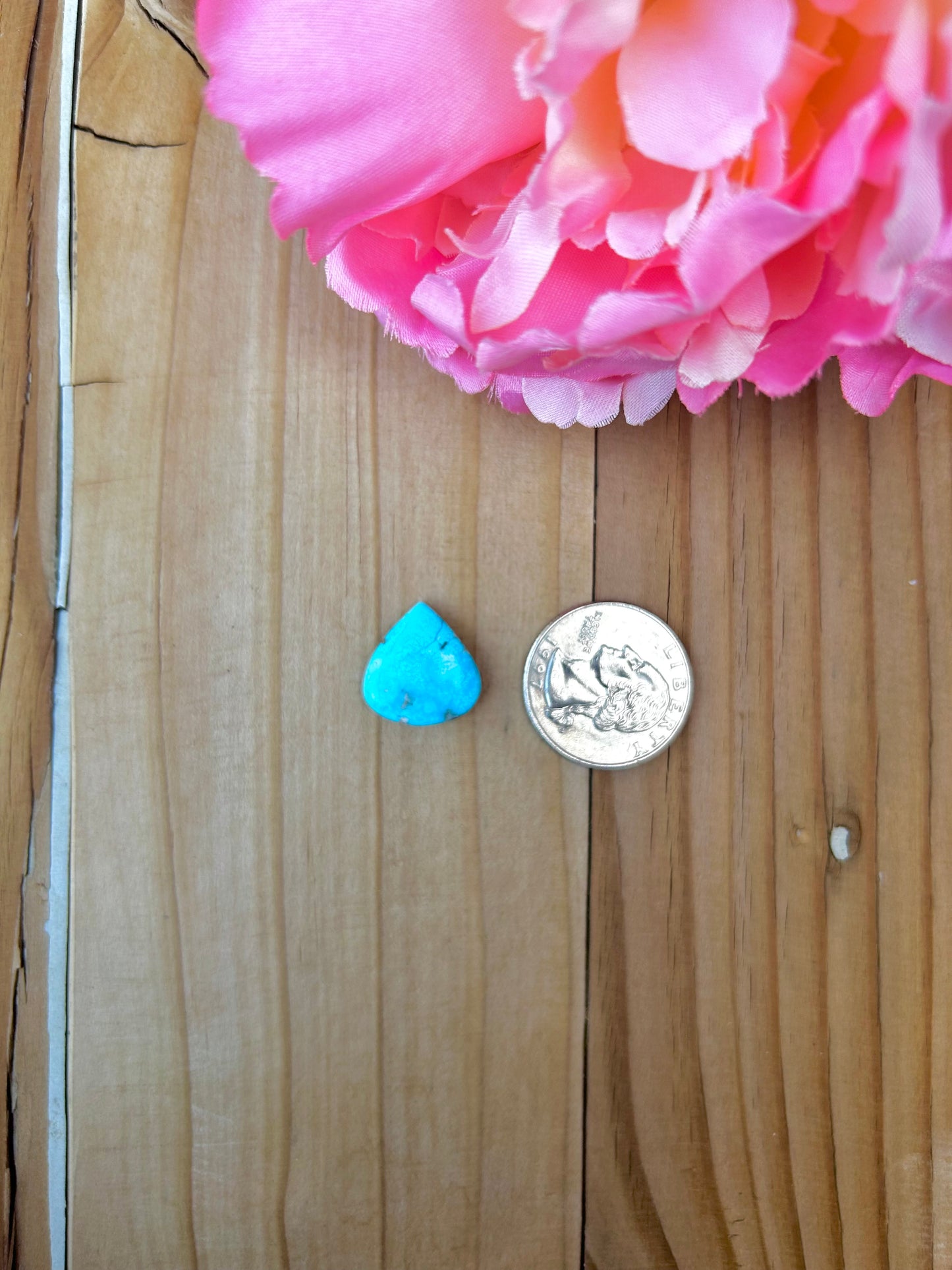 Blue Bird Turquoise Cabs