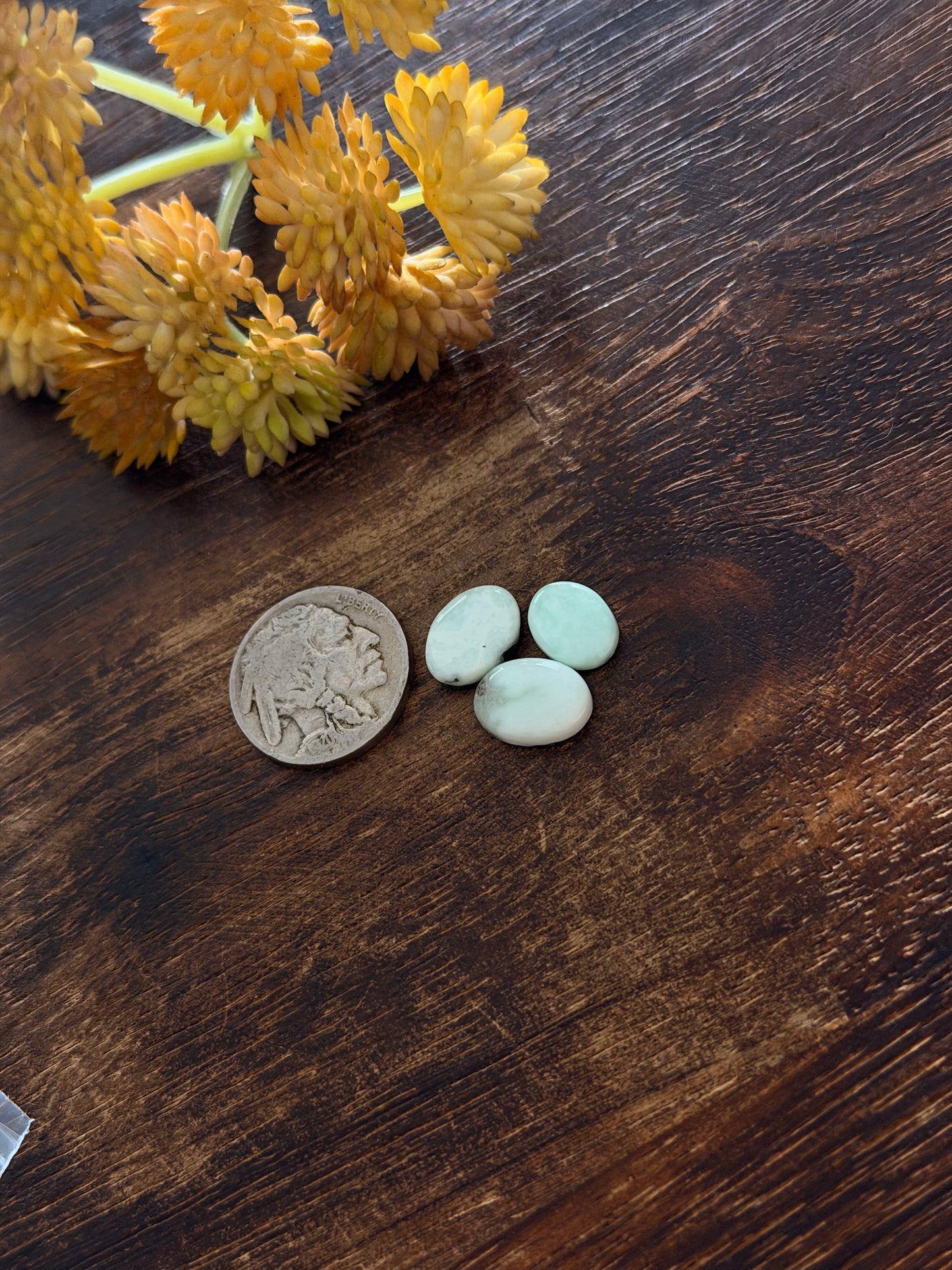 Paloma Variscite Cabs