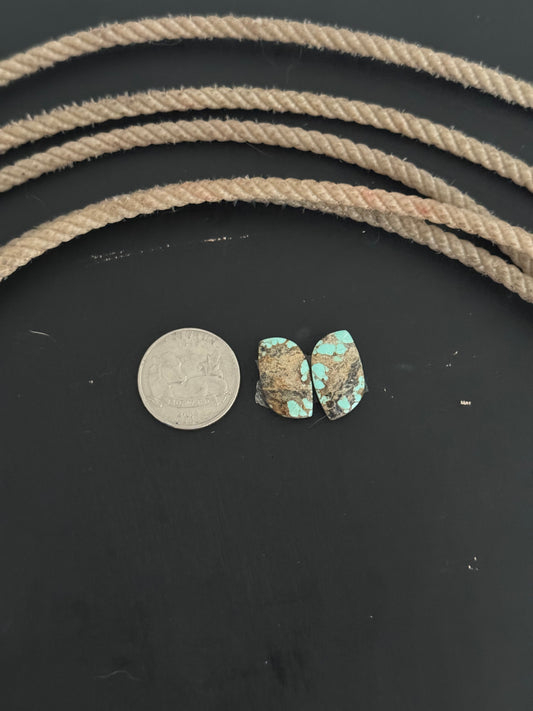 #8 Turquoise Earring Pair Cabs
