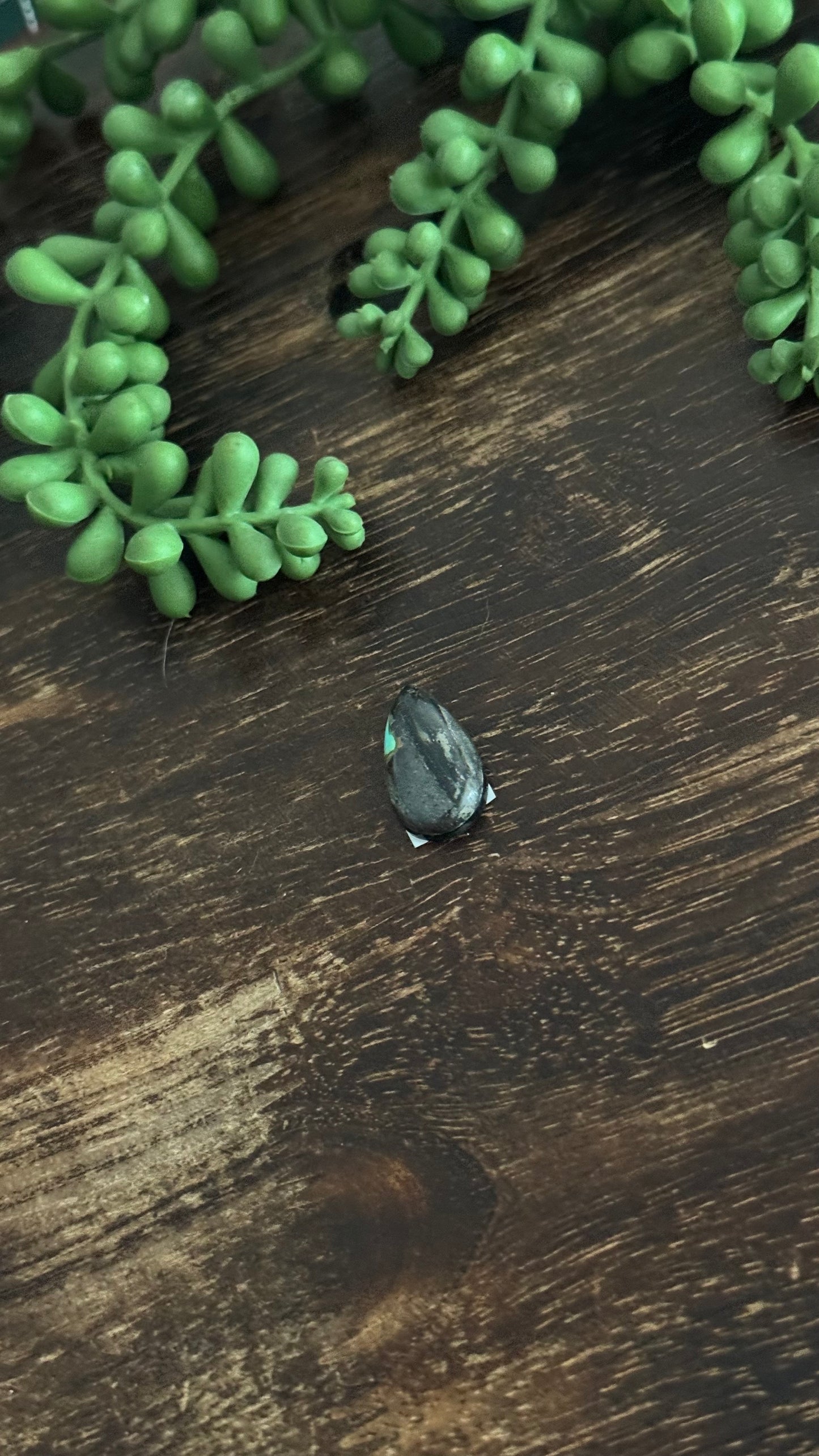 Black Jack Turquoise Cab