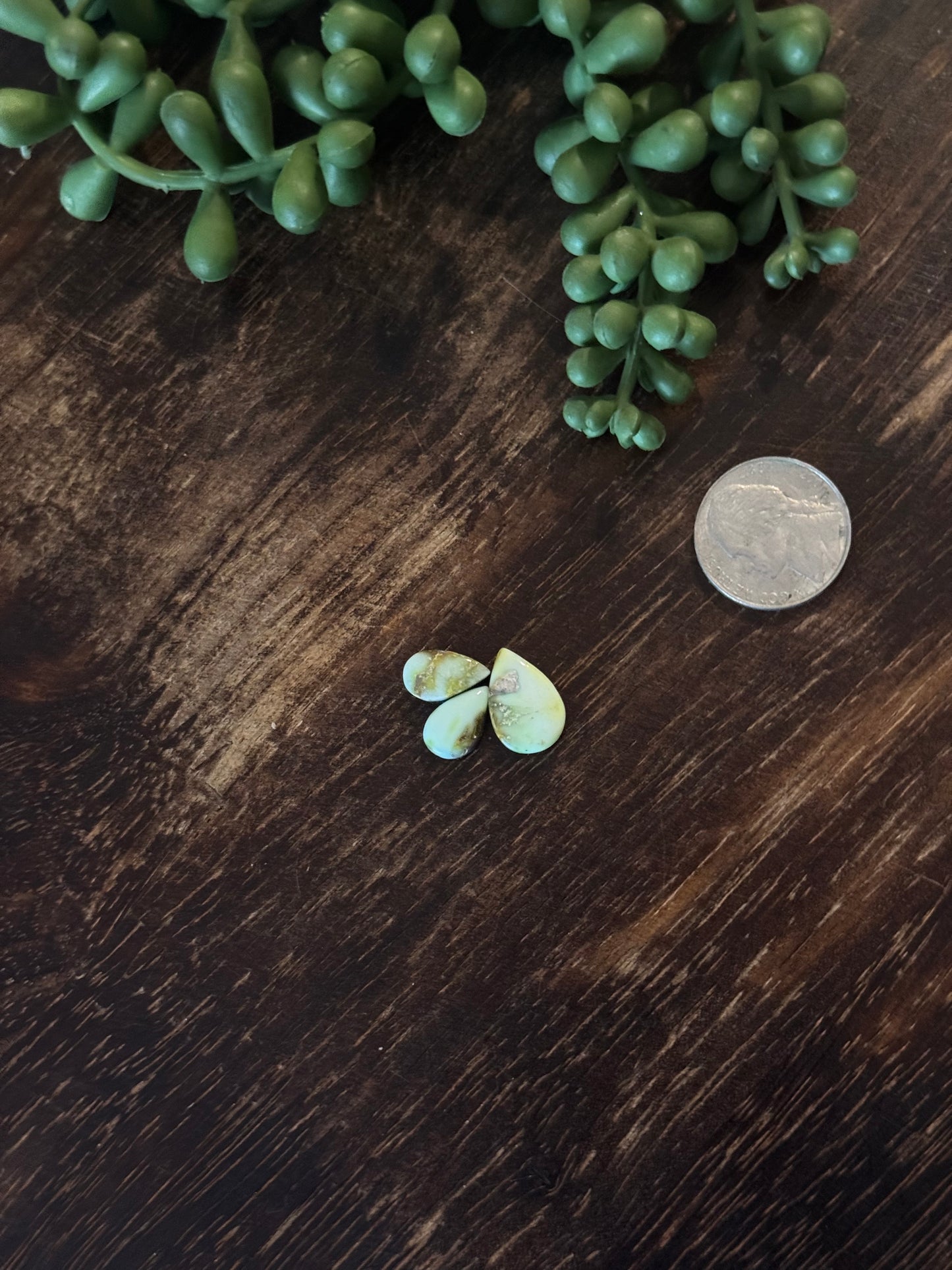 Palomino Variscite Cabs