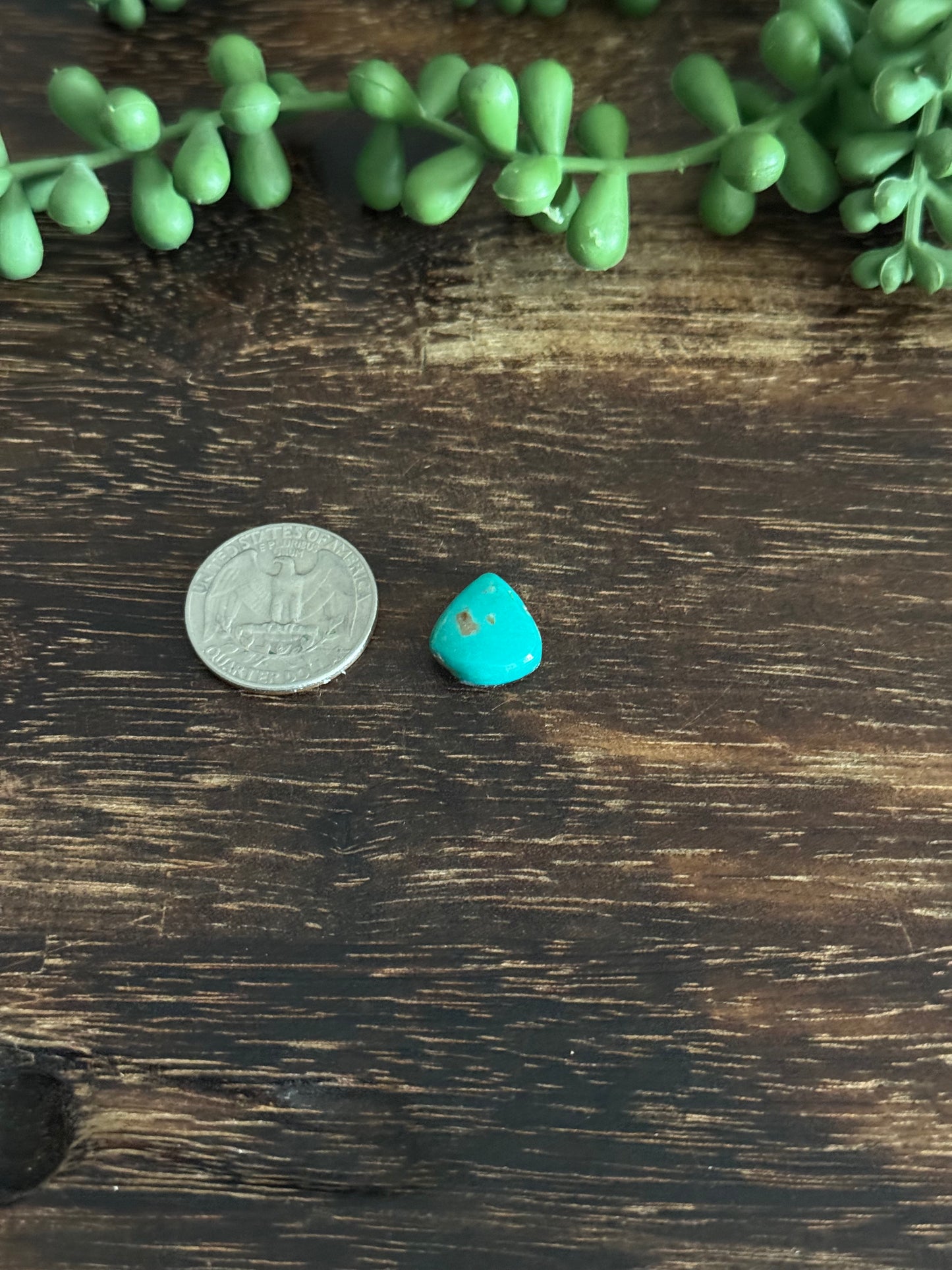 Kingman Turquoise Cab