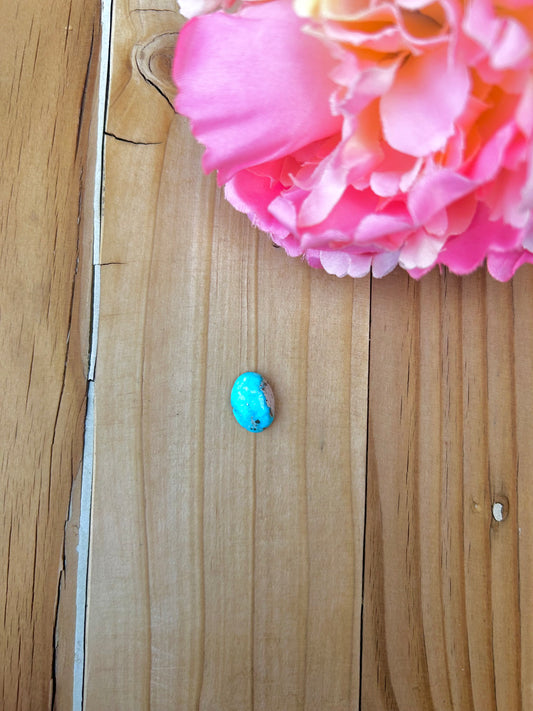Blue Bird Turquoise Cabs