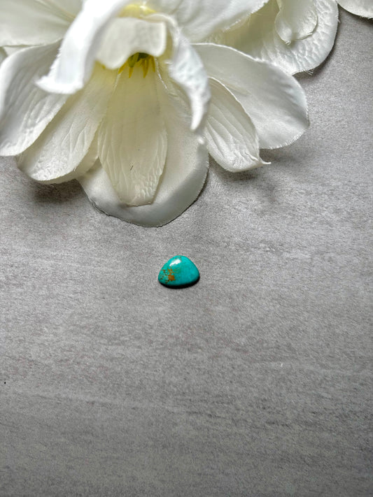 Kingman Turquoise Cab