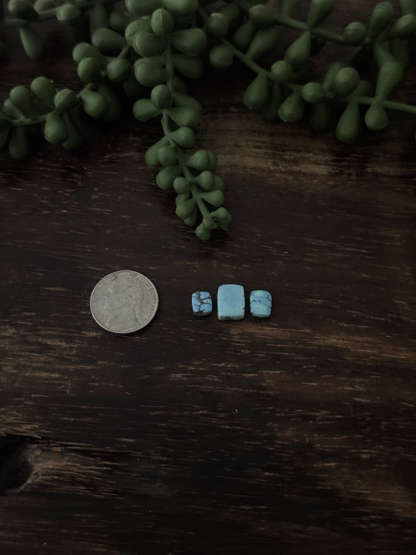 Golden Hills Turquoise Cabs