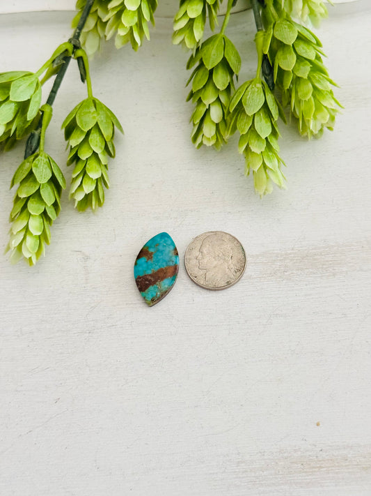 Kingman Turquoise Cab