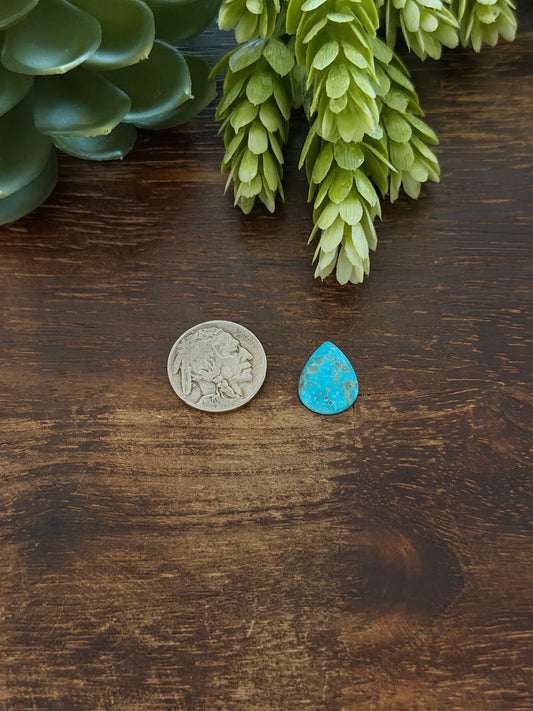 Blue Bird Turquoise Cab