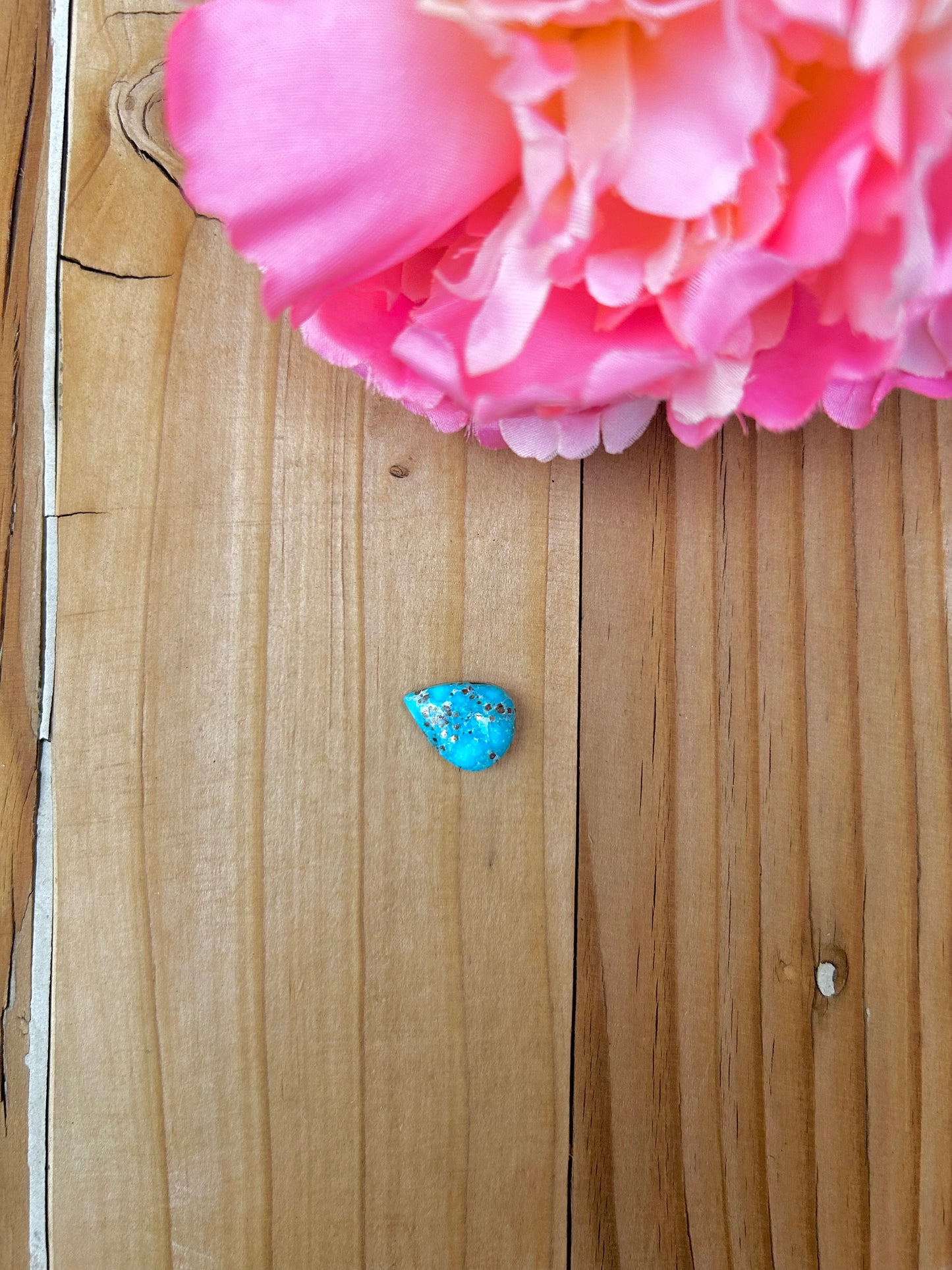 Blue Bird Turquoise Cabs