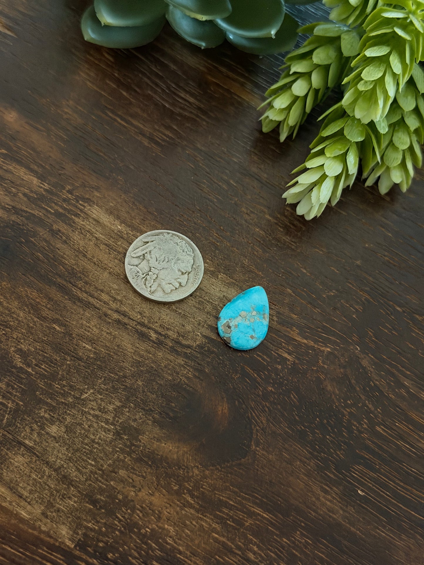 Blue Bird Turquoise Cab