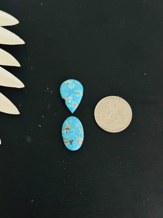 Blue Bird Turquoise Cabs