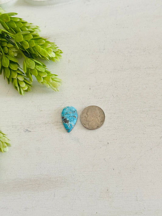 Blue Bird Turquoise Cab