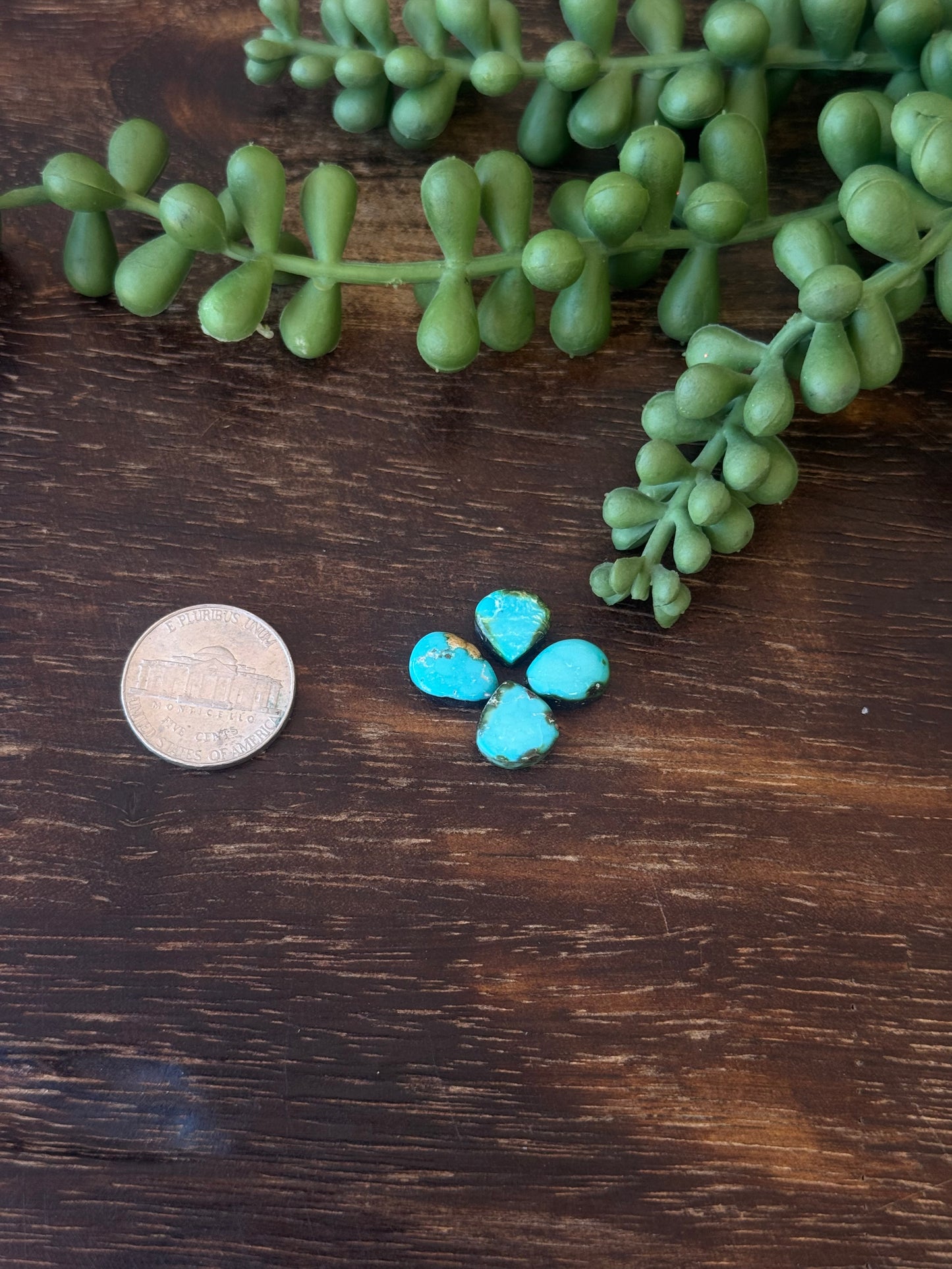 Sonoran Mountain Turquoise Cabs