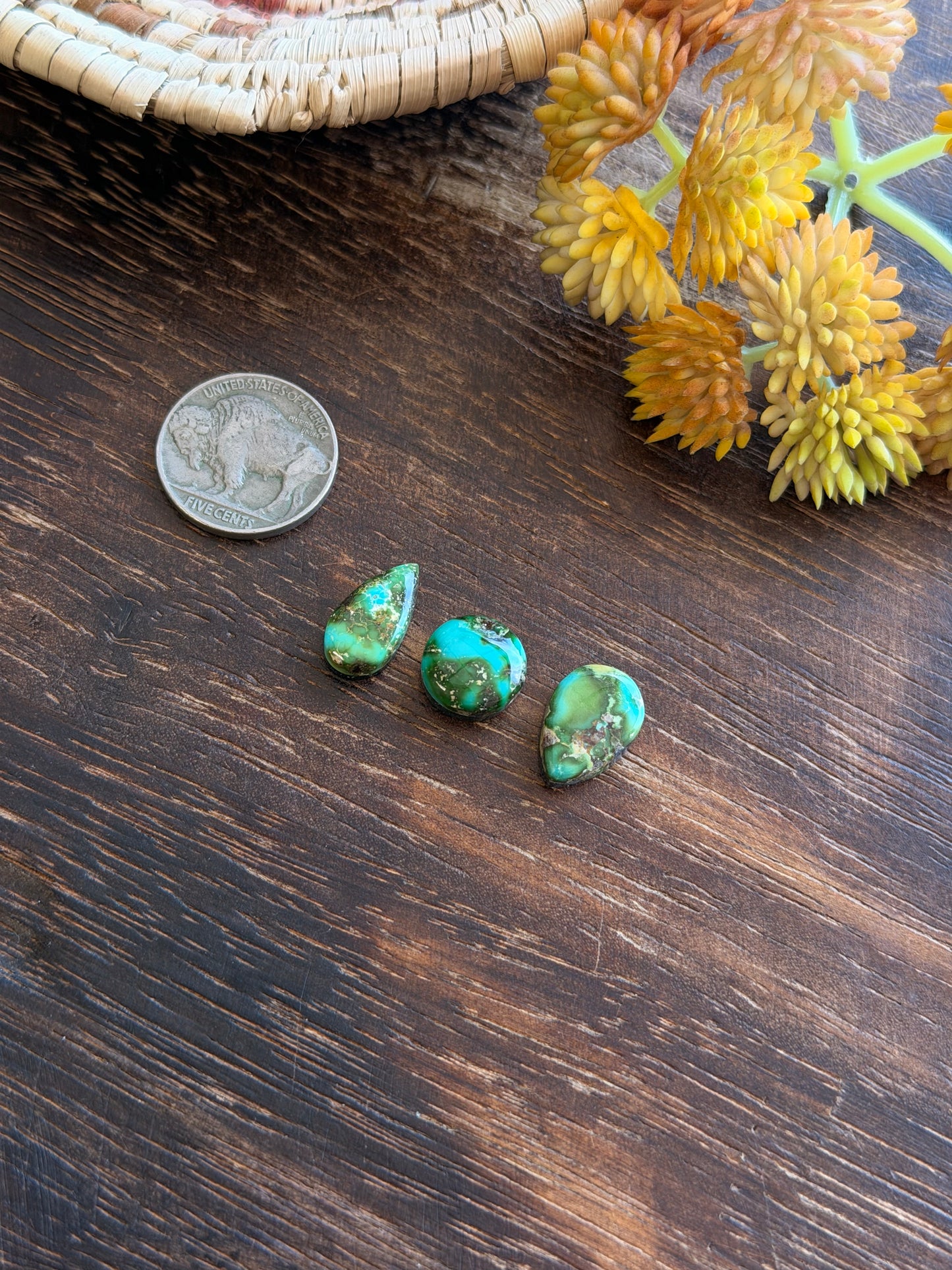 Sonoran Mountain Turquoise Cabs