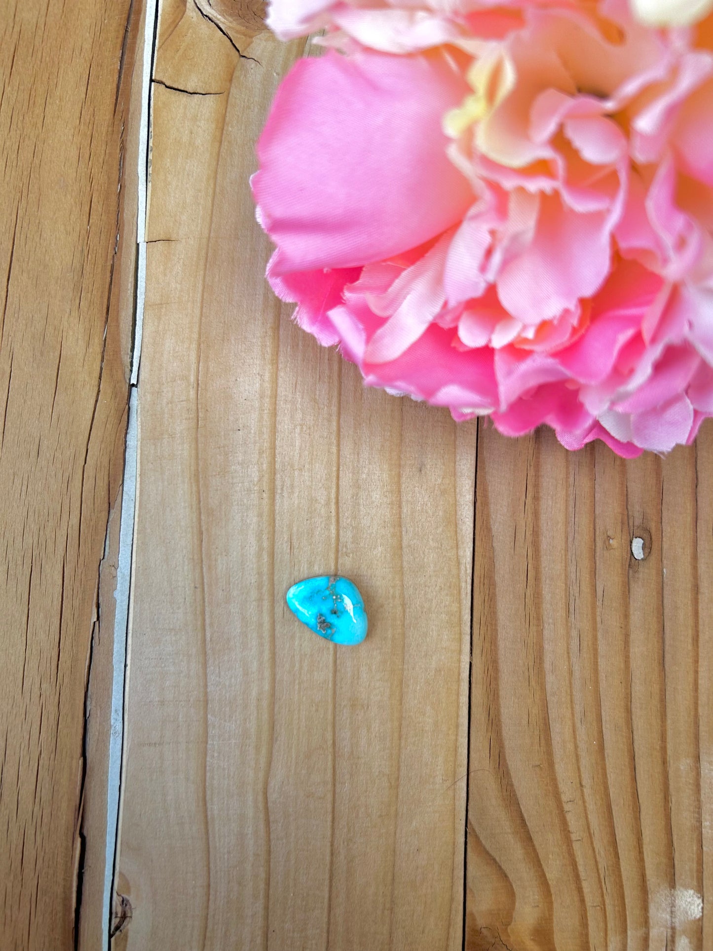 Blue Bird Turquoise Cabs