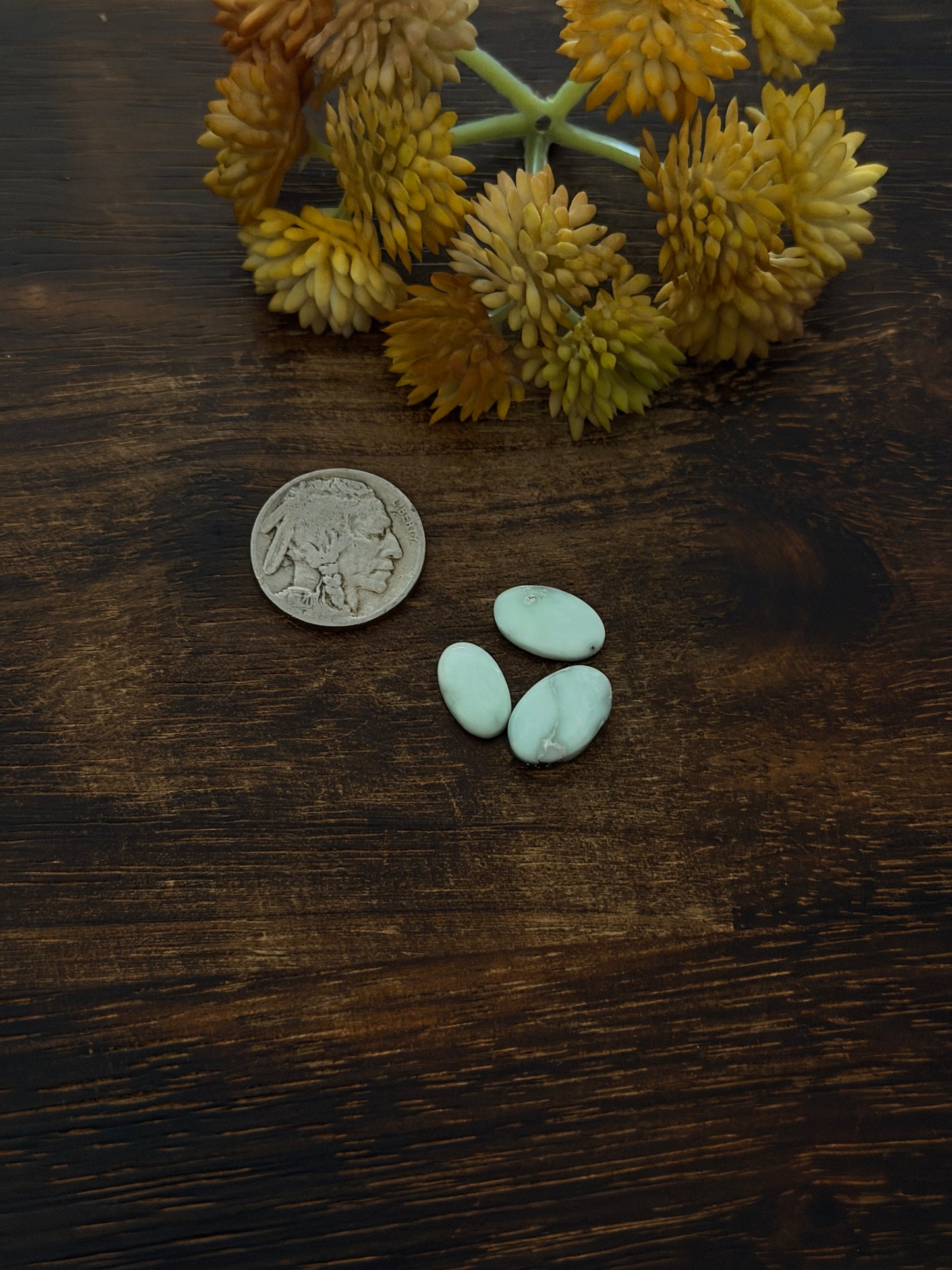 Paloma Variscite Cabs
