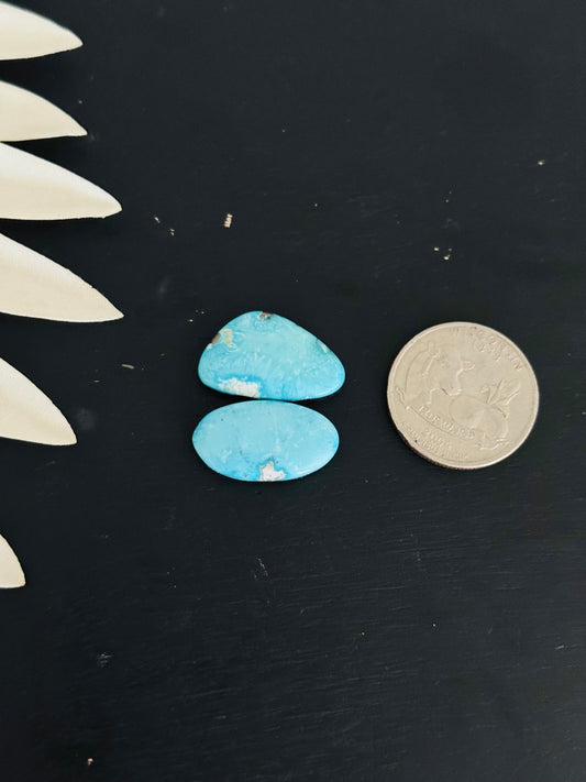 Blue Bird Turquoise Cabs
