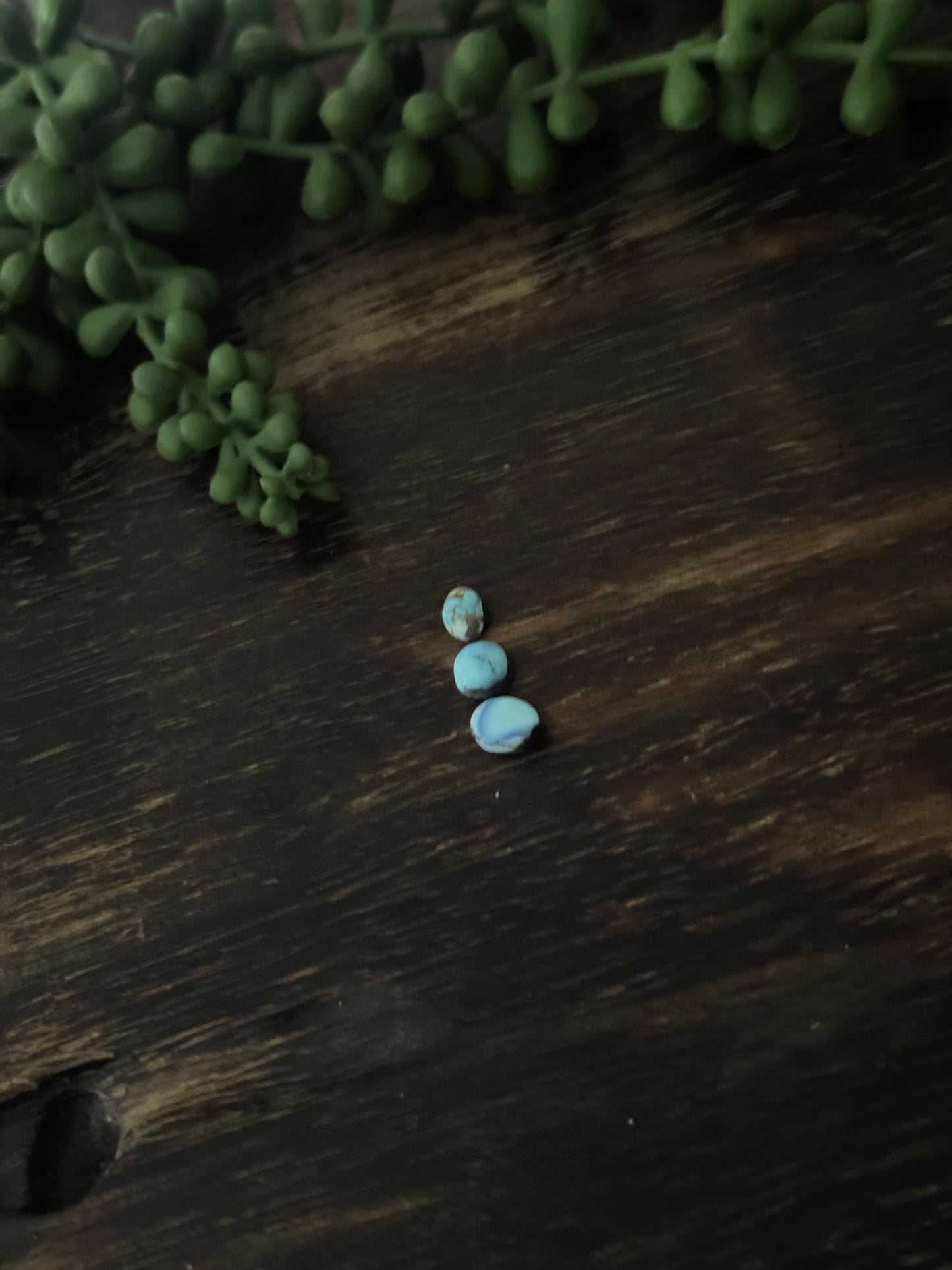 Golden Hills Turquoise Cabs