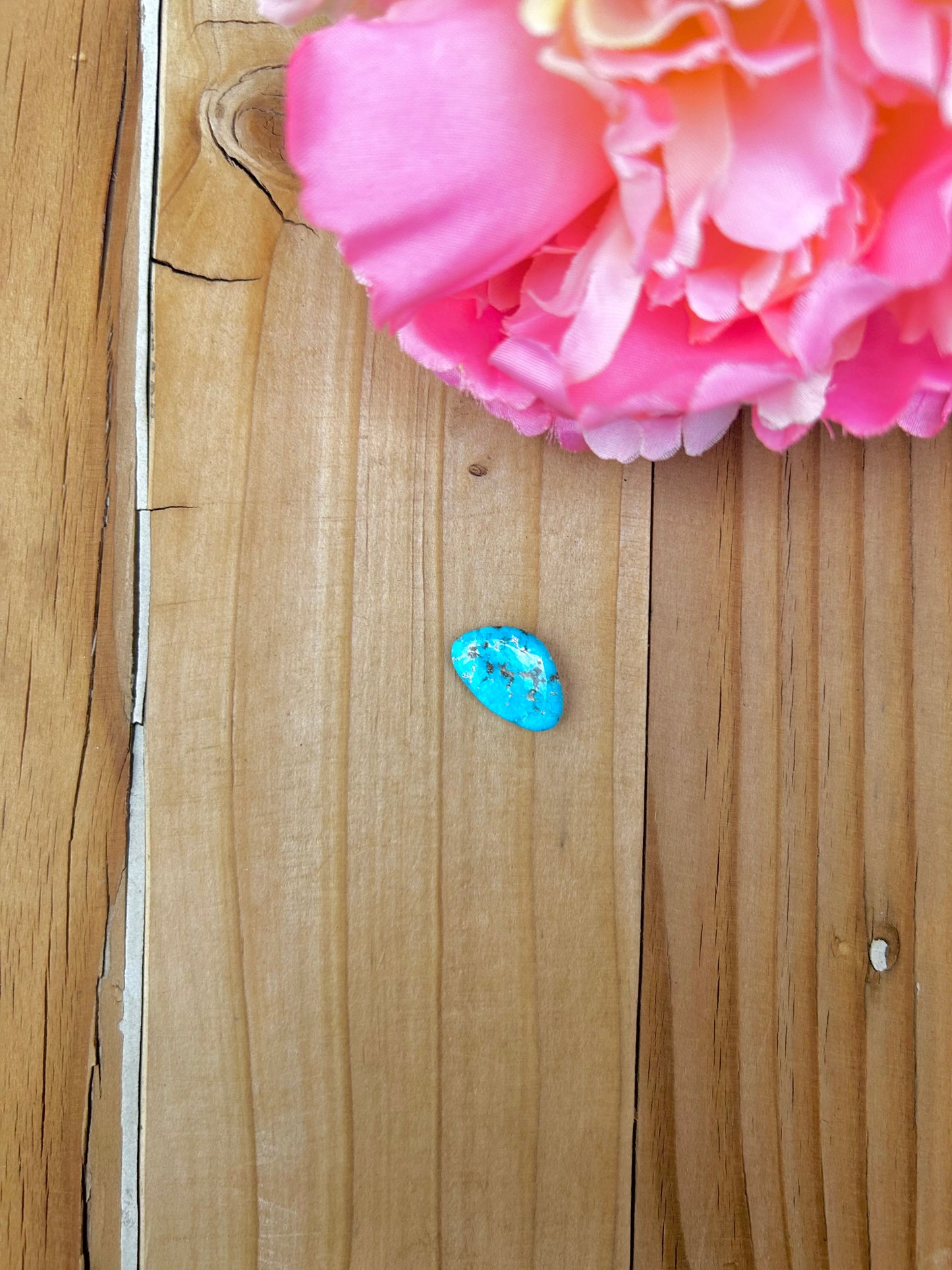 Blue Bird Turquoise Cabs