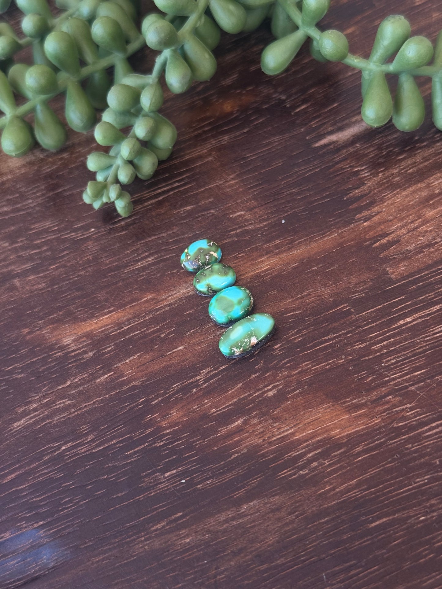 Sonoran Mountain Turquoise Cabs