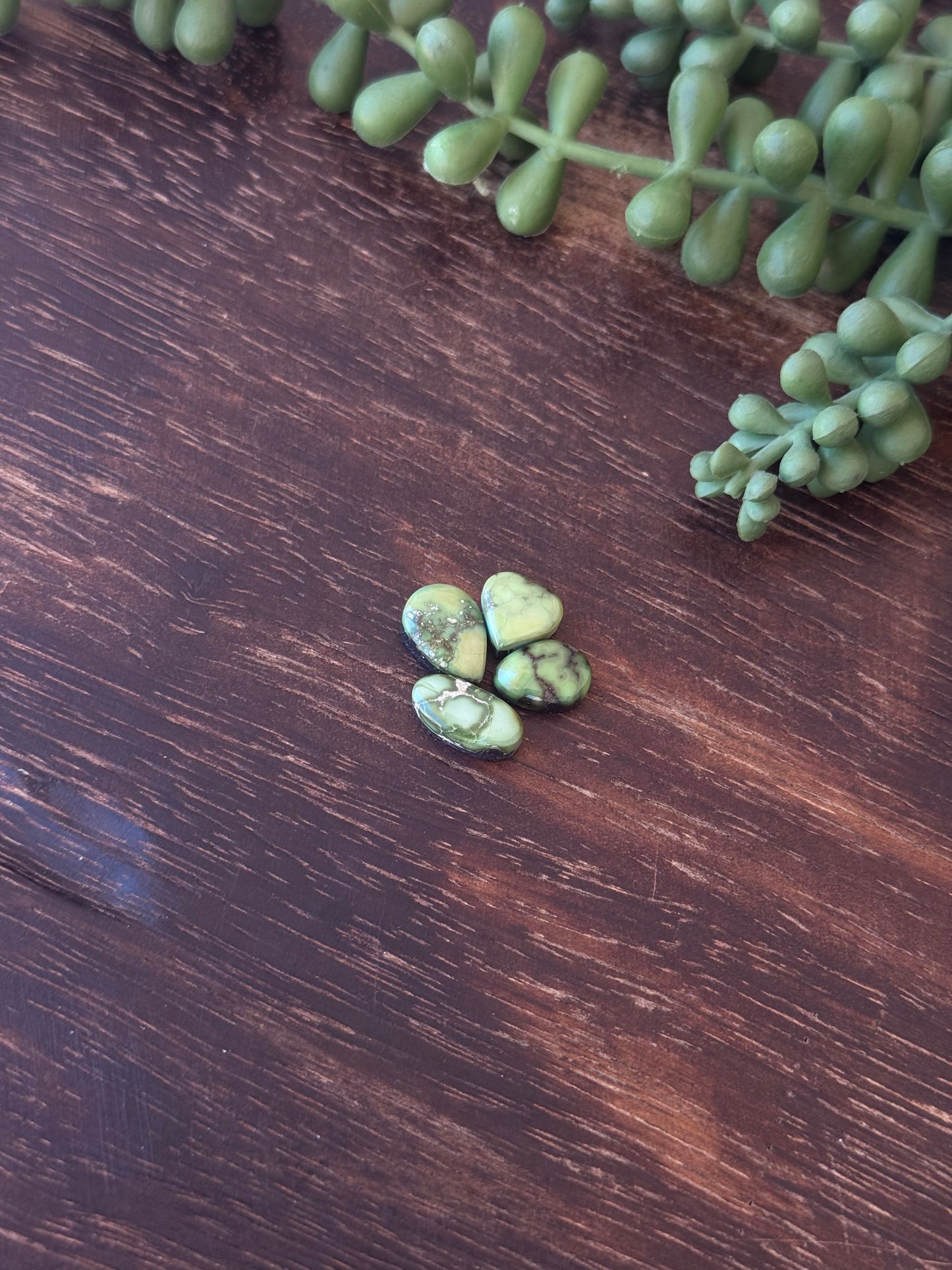 Sonoran Mountain Turquoise Cabs