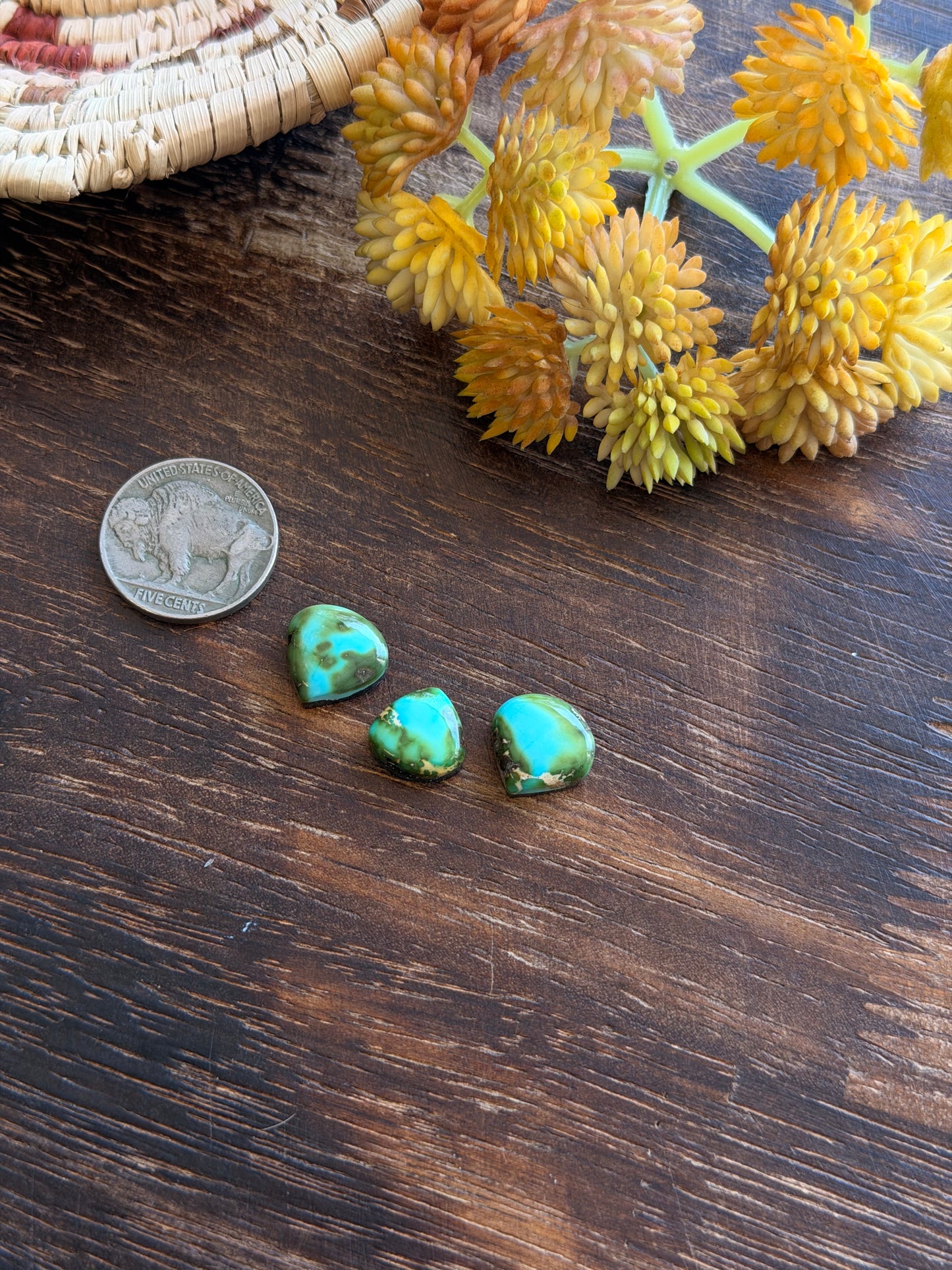 Sonoran Mountain Turquoise Cabs