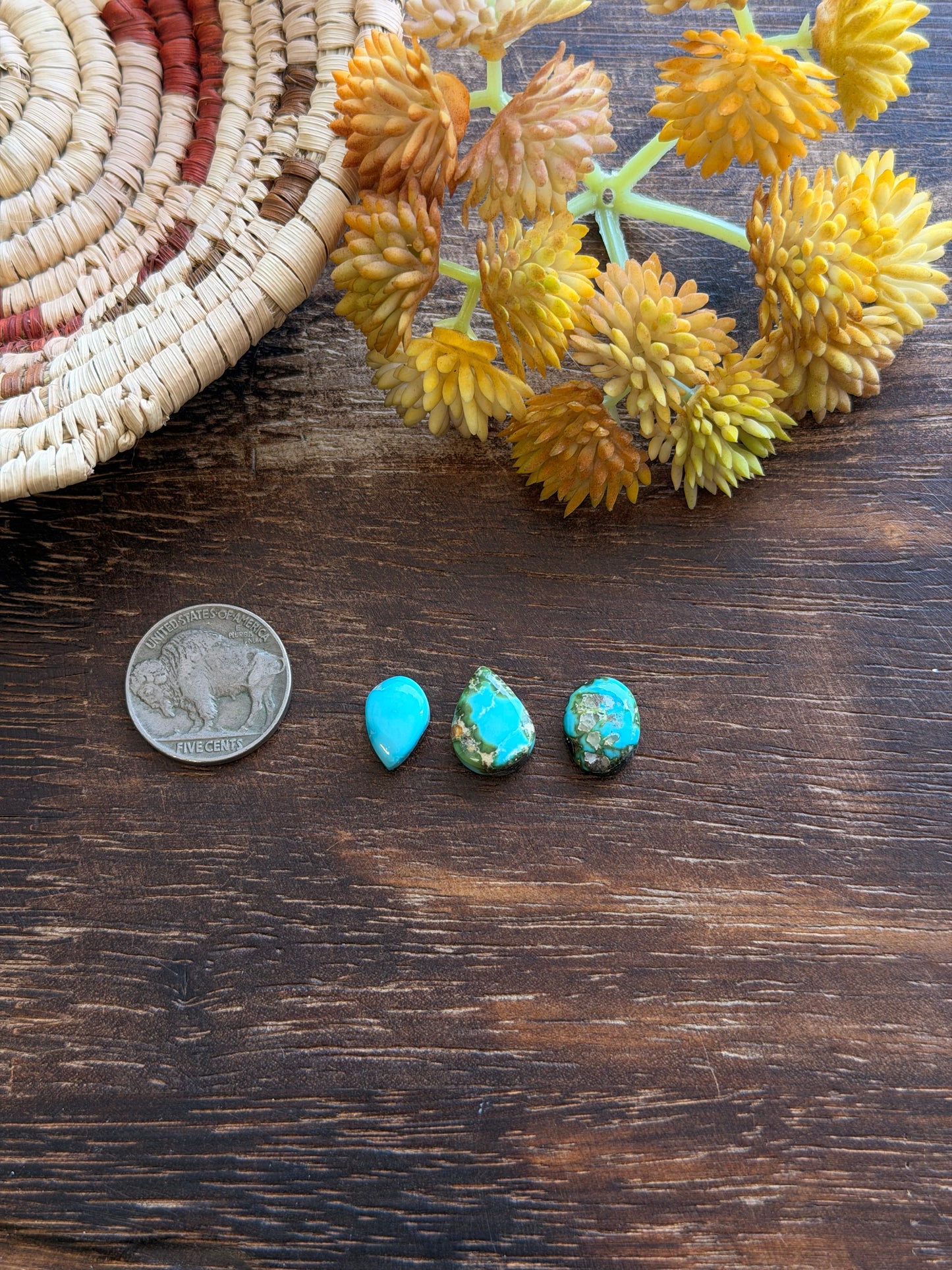 Sonoran Mountain Turquoise Cabs