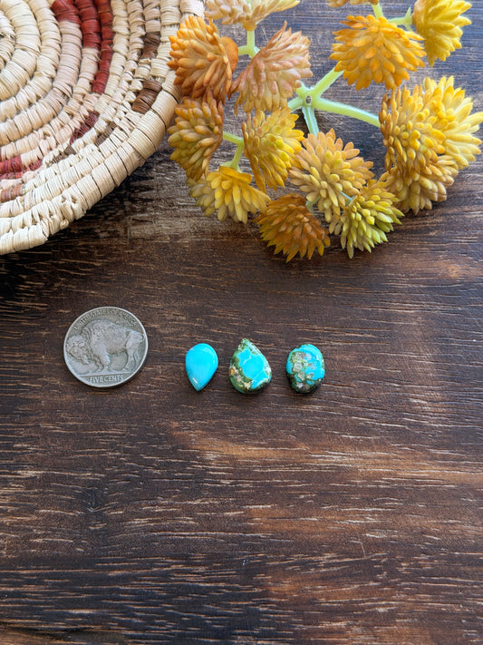 Sonoran Mountain Turquoise Cabs