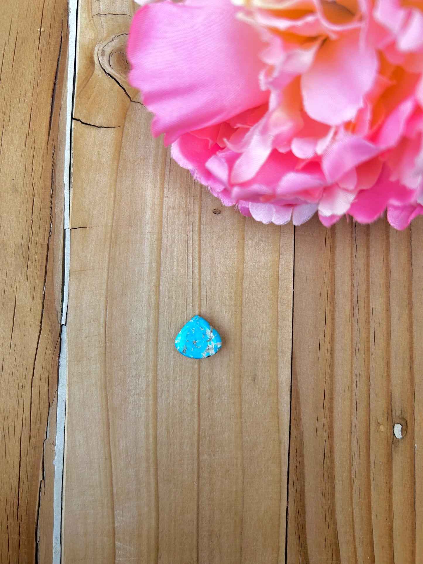 Blue Bird Turquoise Cabs