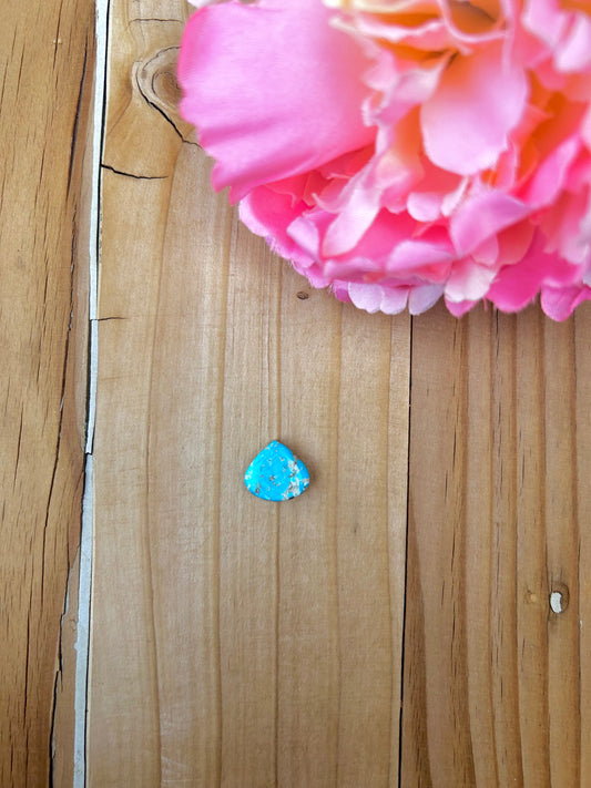 Blue Bird Turquoise Cabs