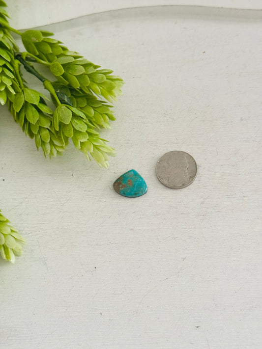 Kingman Turquoise Cab