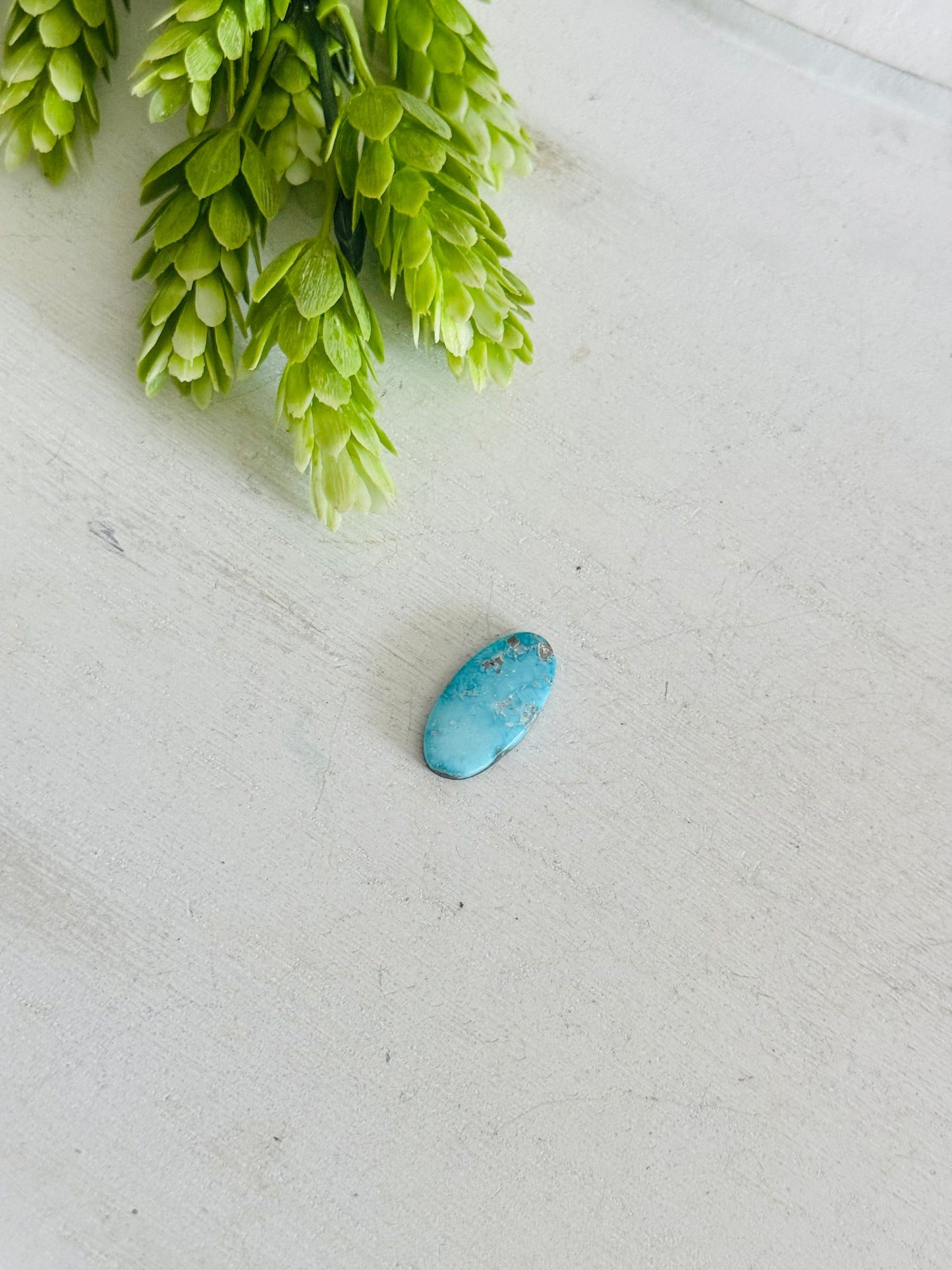 Blue Bird Turquoise Cab