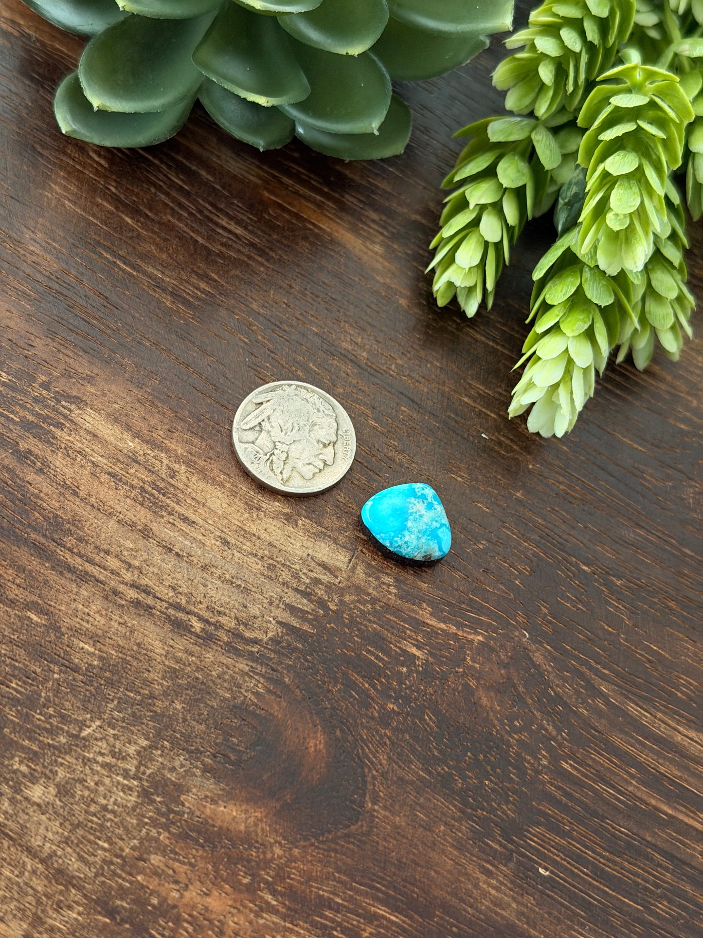 Blue Bird Turquoise Cab