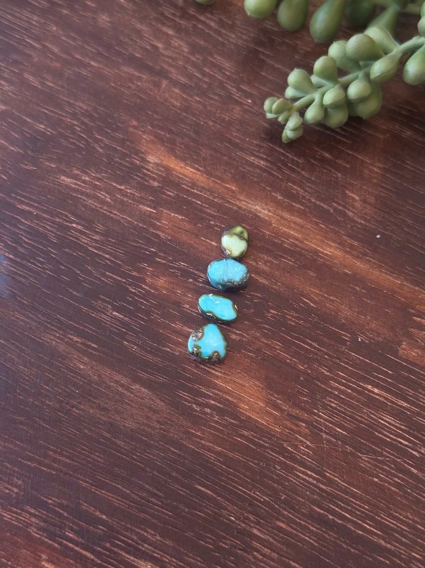 Sonoran Mountain Turquoise Cabs