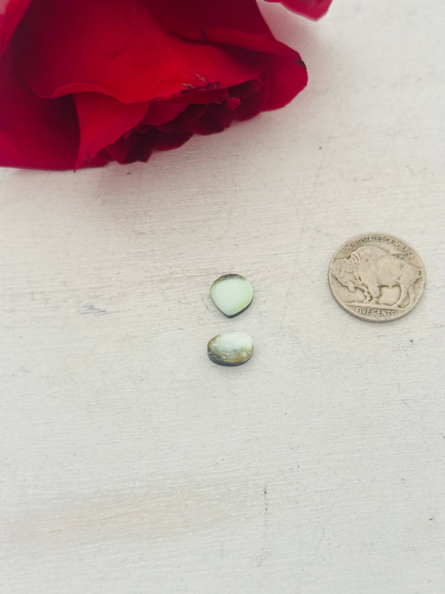 Palomino Variscite Cabs