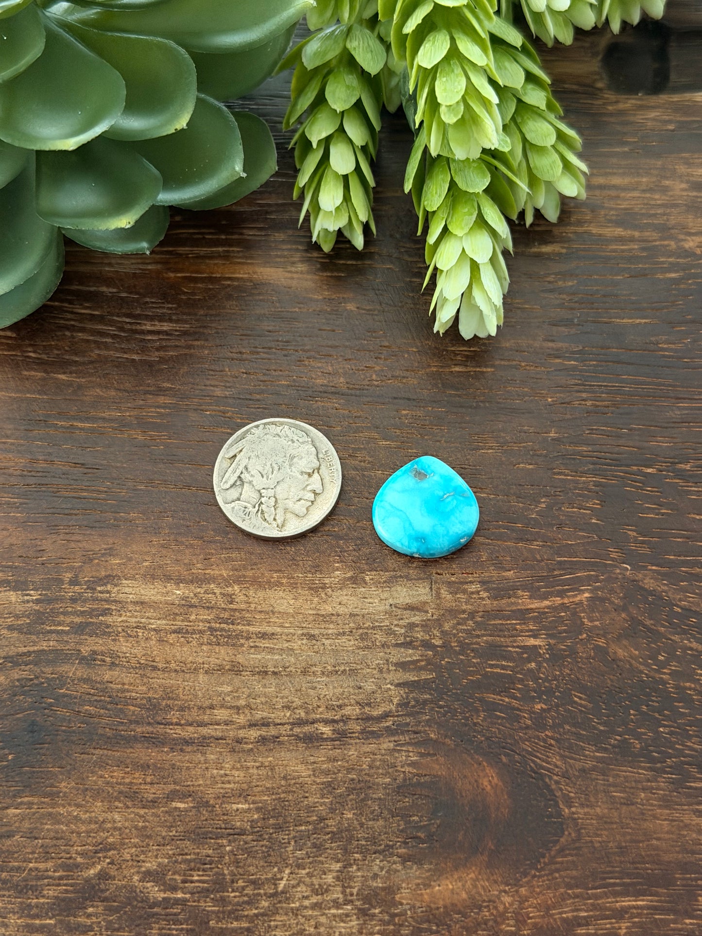 Blue Bird Turquoise Cab