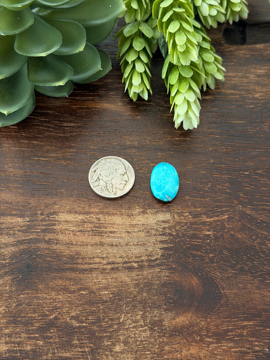 Blue Bird Turquoise Cab