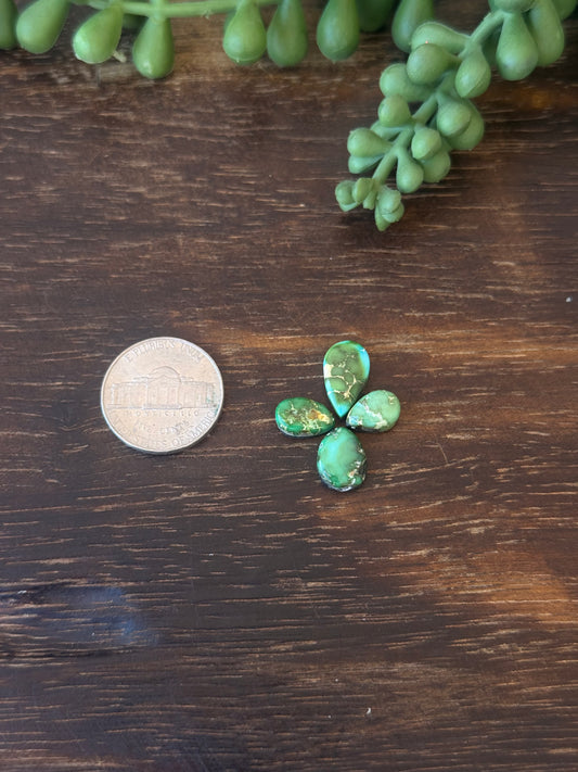 Sonoran Mountain Turquoise Cabs
