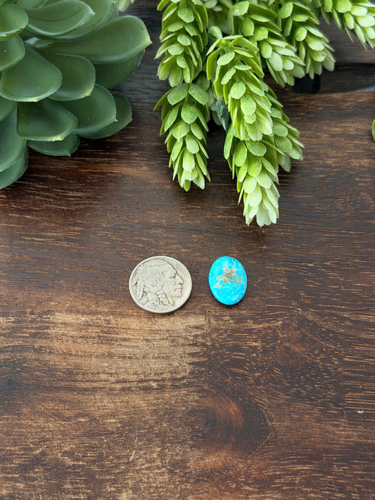 Blue Bird Turquoise Cab
