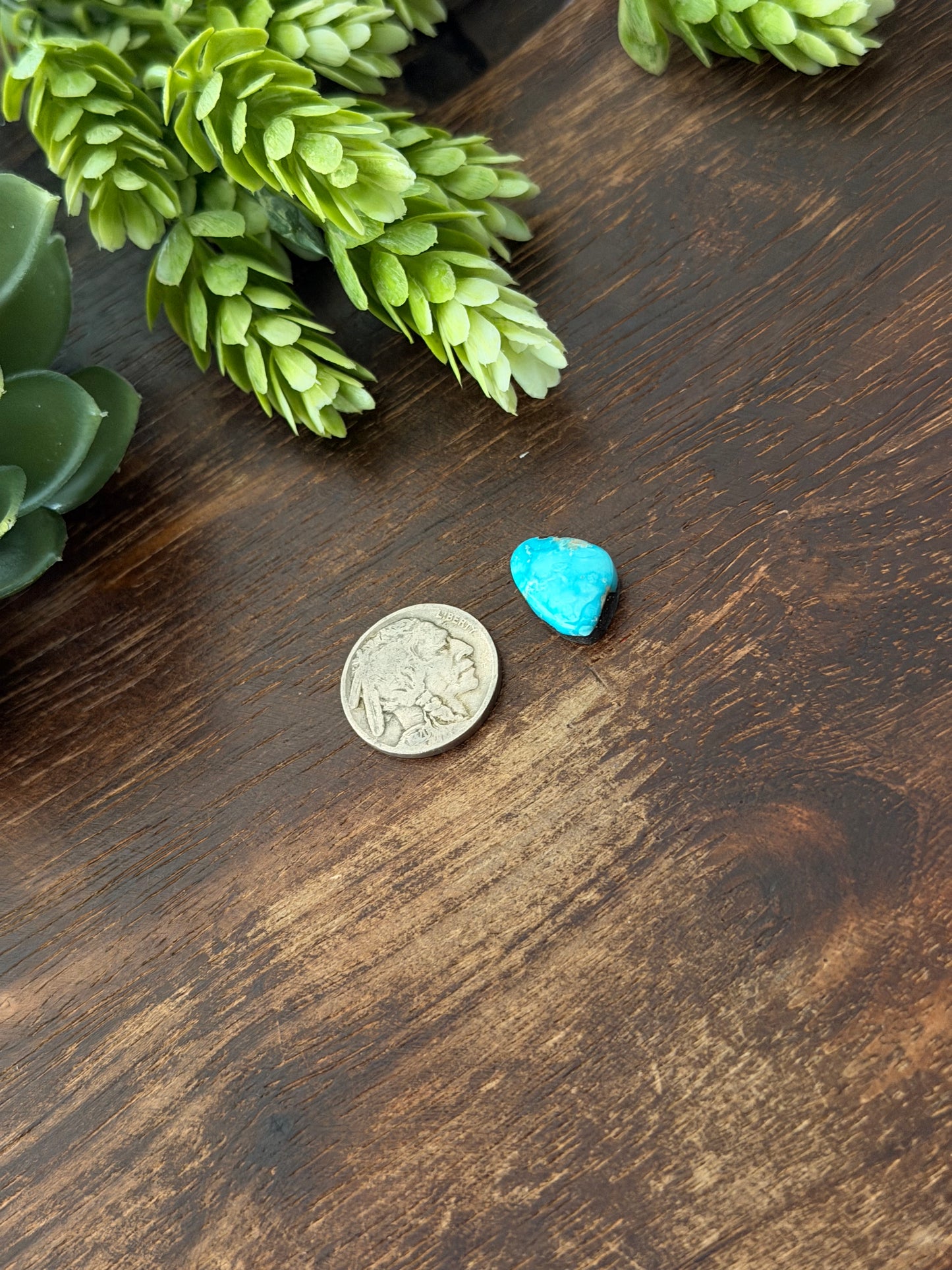 Blue Bird Turquoise Cab