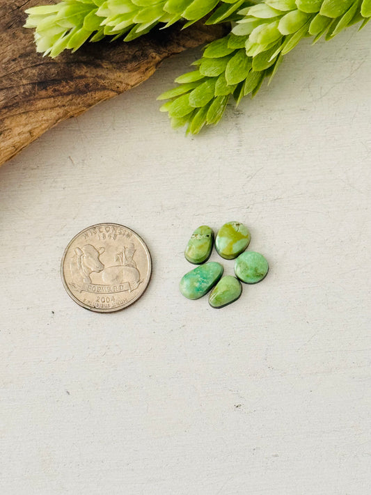 Natural Sonoran Gold Turquoise Cabs