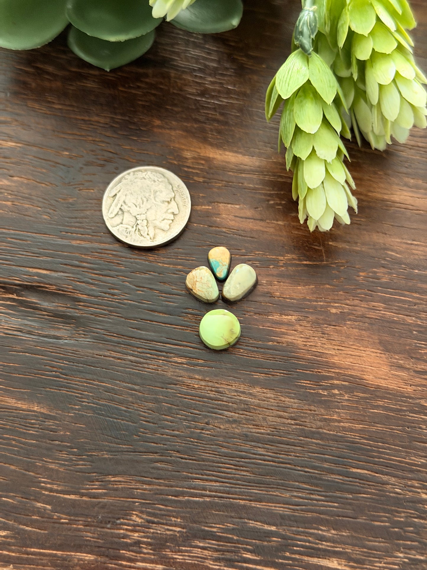 Evans Turquoise Cabs